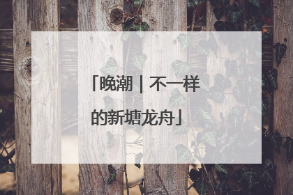 晚潮｜不一样的新塘龙舟