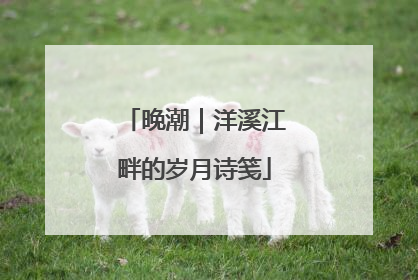 晚潮｜洋溪江畔的岁月诗笺
