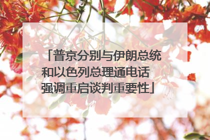 普京分别与伊朗总统和以色列总理通电话 强调重启谈判重要性