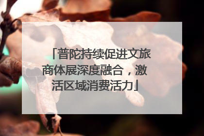 普陀持续促进文旅商体展深度融合，激活区域消费活力
