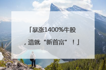 暴涨1400%牛股，造就“新首富”！