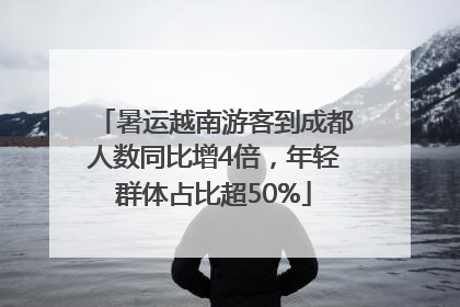 暑运越南游客到成都人数同比增4倍，年轻群体占比超50%
