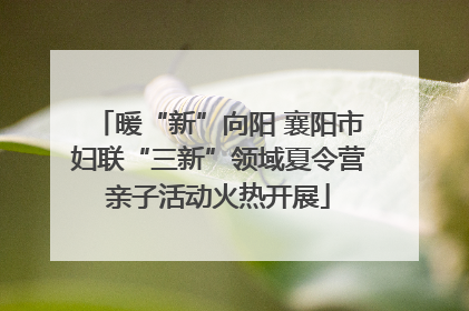 暖“新”向阳 襄阳市妇联“三新”领域夏令营亲子活动火热开展