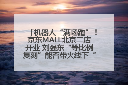 机器人“满场跑”！京东MALL北京二店开业 刘强东“等比例复刻”能否带火线下“618”？