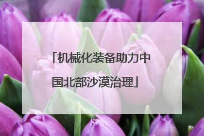 机械化装备助力中国北部沙漠治理