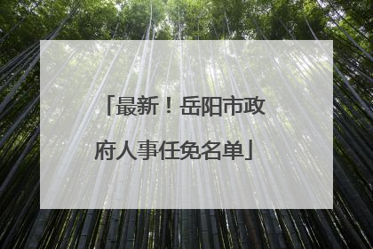 最新！岳阳市政府人事任免名单