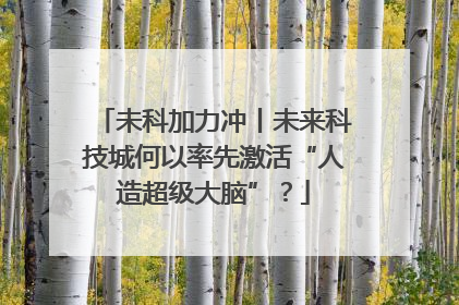 未科加力冲丨未来科技城何以率先激活“人造超级大脑”？