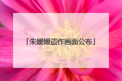朱媛媛遗作画面公布