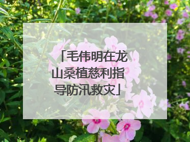 毛伟明在龙山桑植慈利指导防汛救灾