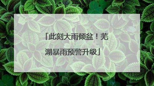 此刻大雨倾盆！芜湖暴雨预警升级