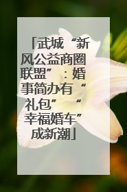 武城“新风公益商圈联盟”：婚事简办有“礼包” “幸福婚车”成新潮