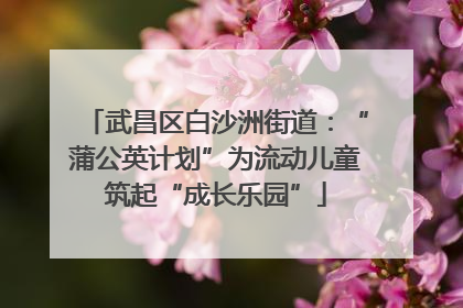 武昌区白沙洲街道：“蒲公英计划”为流动儿童筑起“成长乐园”