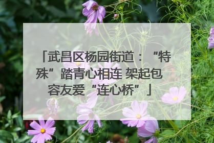 武昌区杨园街道：“特殊”踏青心相连 架起包容友爱“连心桥”