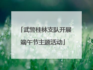 武警桂林支队开展端午节主题活动