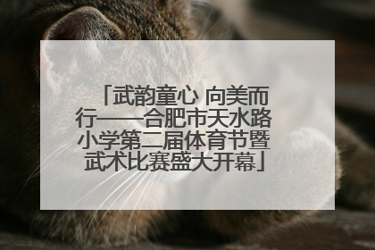 武韵童心 向美而行——合肥市天水路小学第二届体育节暨武术比赛盛大开幕