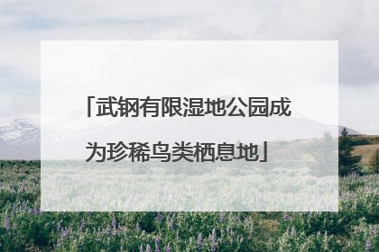 武钢有限湿地公园成为珍稀鸟类栖息地