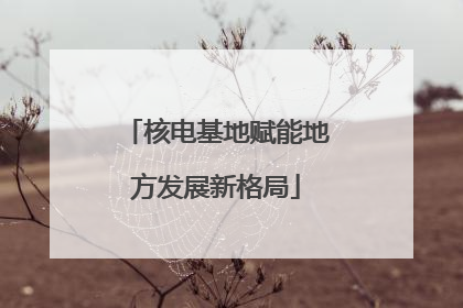 核电基地赋能地方发展新格局