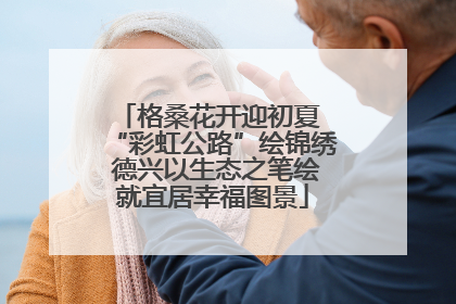 格桑花开迎初夏 “彩虹公路”绘锦绣 德兴以生态之笔绘就宜居幸福图景