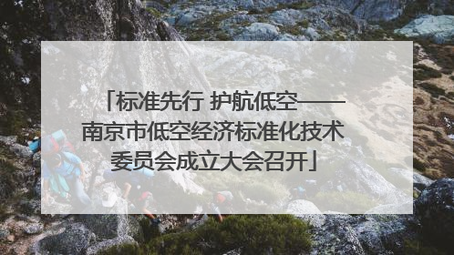 标准先行 护航低空——南京市低空经济标准化技术委员会成立大会召开