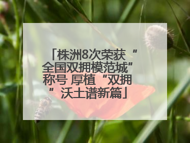 株洲8次荣获“全国双拥模范城”称号 厚植“双拥”沃土谱新篇