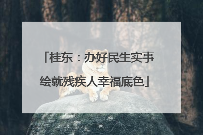 桂东：办好民生实事 绘就残疾人幸福底色