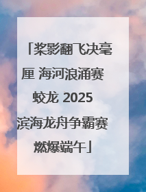 桨影翻飞决毫厘 海河浪涌赛蛟龙 2025滨海龙舟争霸赛燃爆端午