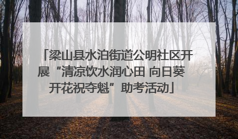 梁山县水泊街道公明社区开展“清凉饮水润心田 向日葵开花祝夺魁”助考活动