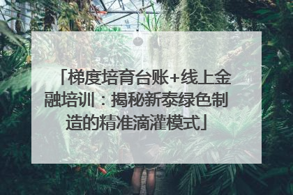 梯度培育台账+线上金融培训：揭秘新泰绿色制造的精准滴灌模式