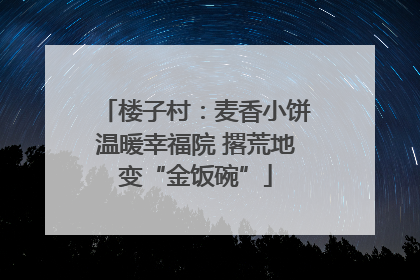楼子村：麦香小饼温暖幸福院 撂荒地变“金饭碗”