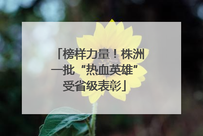 榜样力量！株洲一批“热血英雄”受省级表彰