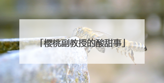 樱桃副教授的酸甜事