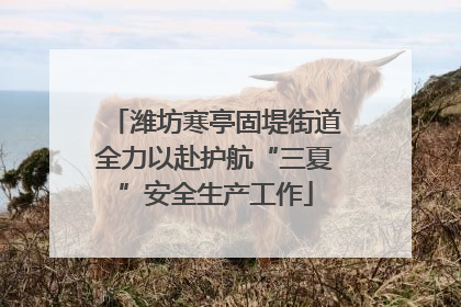 潍坊寒亭固堤街道全力以赴护航“三夏”安全生产工作