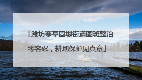 潍坊寒亭固堤街道图斑整治零容忍，耕地保护见真章