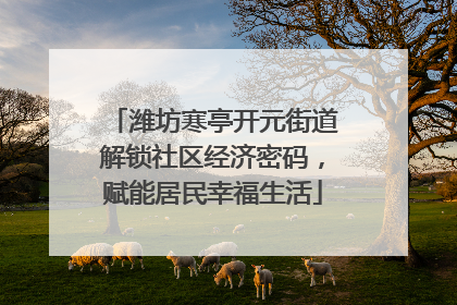 潍坊寒亭开元街道解锁社区经济密码，赋能居民幸福生活