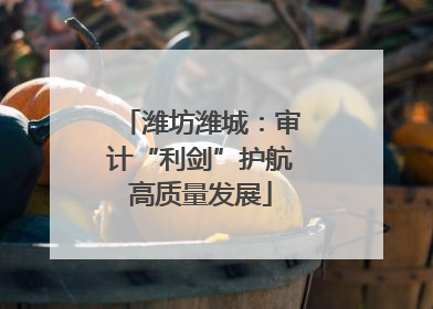 潍坊潍城：审计“利剑”护航高质量发展