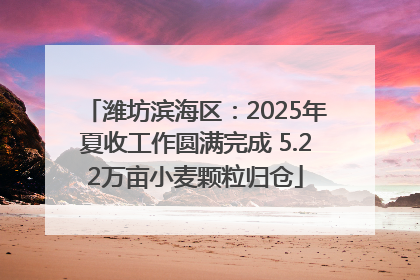 潍坊滨海区：2025年夏收工作圆满完成 5.22万亩小麦颗粒归仓