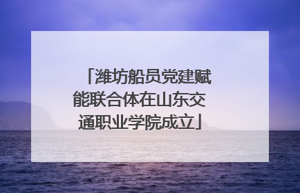 潍坊船员党建赋能联合体在山东交通职业学院成立