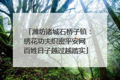 潍坊诸城石桥子镇：绣花功夫织密平安网 百姓日子越过越踏实