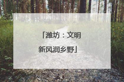 潍坊：文明新风润乡野