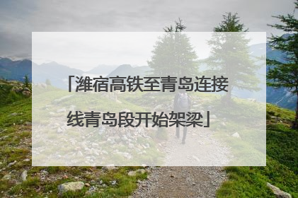 潍宿高铁至青岛连接线青岛段开始架梁
