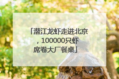 潜江龙虾走进北京，100000只虾席卷大厂餐桌