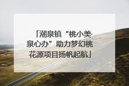 潮泉镇“桃小美·泉心办”助力梦幻桃花源项目扬帆起航