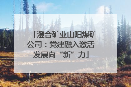 澄合矿业山阳煤矿公司：党建融入激活发展向“新”力