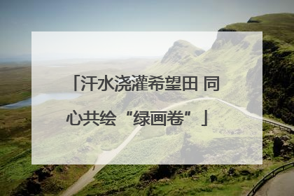 汗水浇灌希望田 同心共绘“绿画卷”