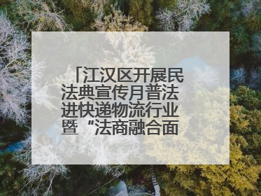 江汉区开展民法典宣传月普法进快递物流行业暨“法商融合面对面”活动