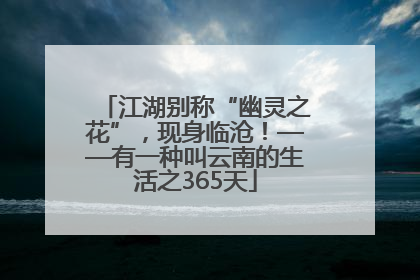 江湖别称“幽灵之花”，现身临沧！——有一种叫云南的生活之365天