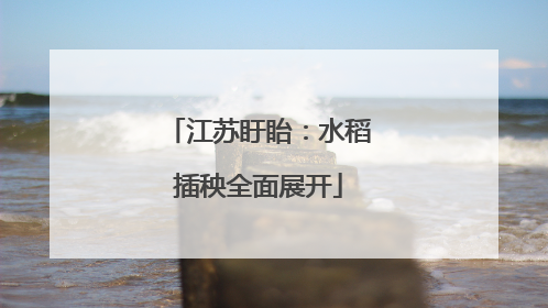 江苏盱眙：水稻插秧全面展开