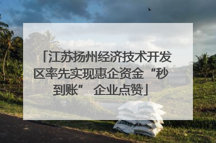 江苏扬州经济技术开发区率先实现惠企资金“秒到账” 企业点赞