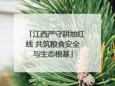 江西严守耕地红线 共筑粮食安全与生态根基