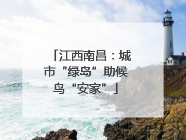 江西南昌：城市“绿岛”助候鸟“安家”